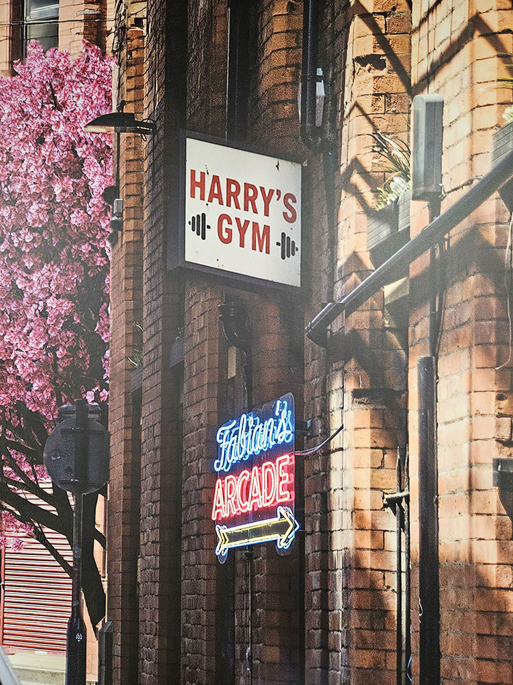 A picture of the Bradbury Wall Mural Bradbury Wall Mural Harry's Gym